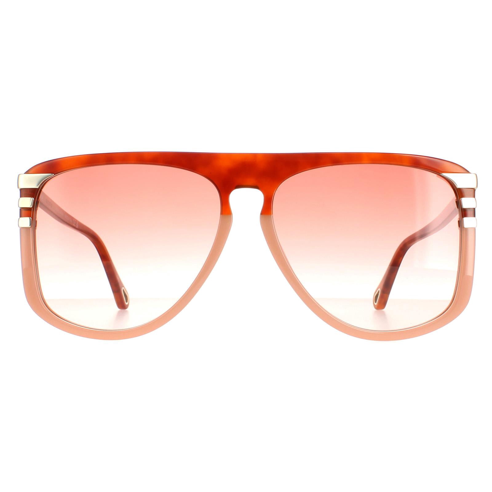 Women's Bio Acetate Sunglasses Grey Blue - Chloé