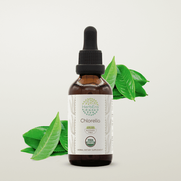 HerbEra Chlorella Tincture, Organic Herbal Dietary Supplement for Detox and Antioxidant Support, Certified Organic Chlorella (Chlorella pyrenoidosa) Dried Algae Extract, Natural, Alcohol-Free, 2 oz