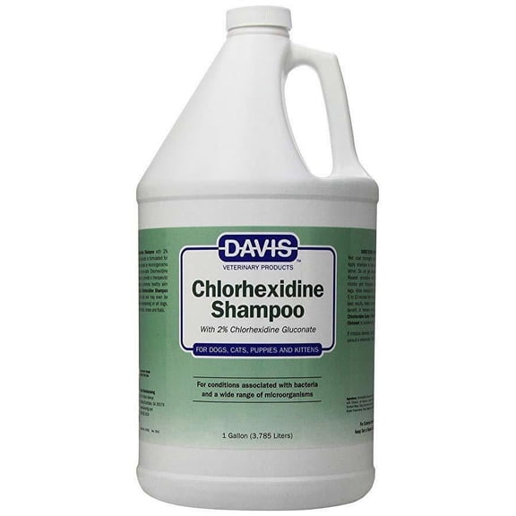 Chlorhexidine Soothe Wounds Pet Skin Conditions Choose Spray Ointment or Shampoo (Shampoo Gallon)