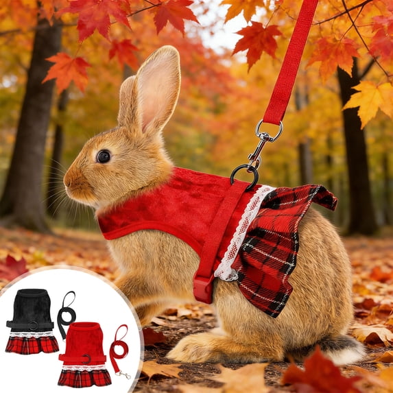 Chmadoxn Adjustable Rabbit Harness and Leash Set, Breathable Mesh Bunny Vest for Small Animals, Guinea Pig Walking Lead, Soft No Pull Pet Traction Rope Vest