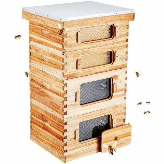 Choco Moon Bee Hive Starter Kit, Complete with 2 Deep + 2 Medium Boxes, Beeswax Coated Cedar Wood, Acrylic Windows, Foundations, Perfect for Beginner Beekeepers