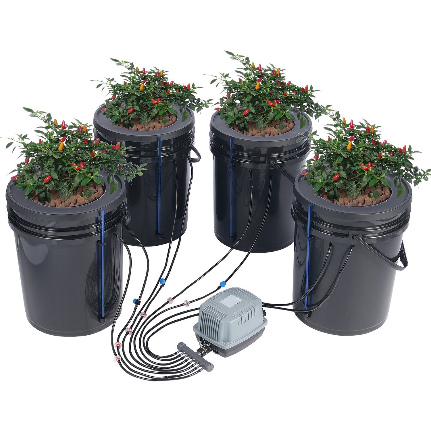 Image showcasing Choco Moon DWC Hydroponic System with Top Drip, 4 Bucket Deep Water ...
