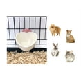 thumbnail image 1 of Choco Nose Patented Removable Heart Shaped Food Bowl for Dogs/Puppies/Rabbits/Cats/Guinea Pigs/Chinchillas/Birds -Water Dish for Small Pets or Animals - for Wire Cages or Crates 8 oz, Pink (C607), 1 of 5