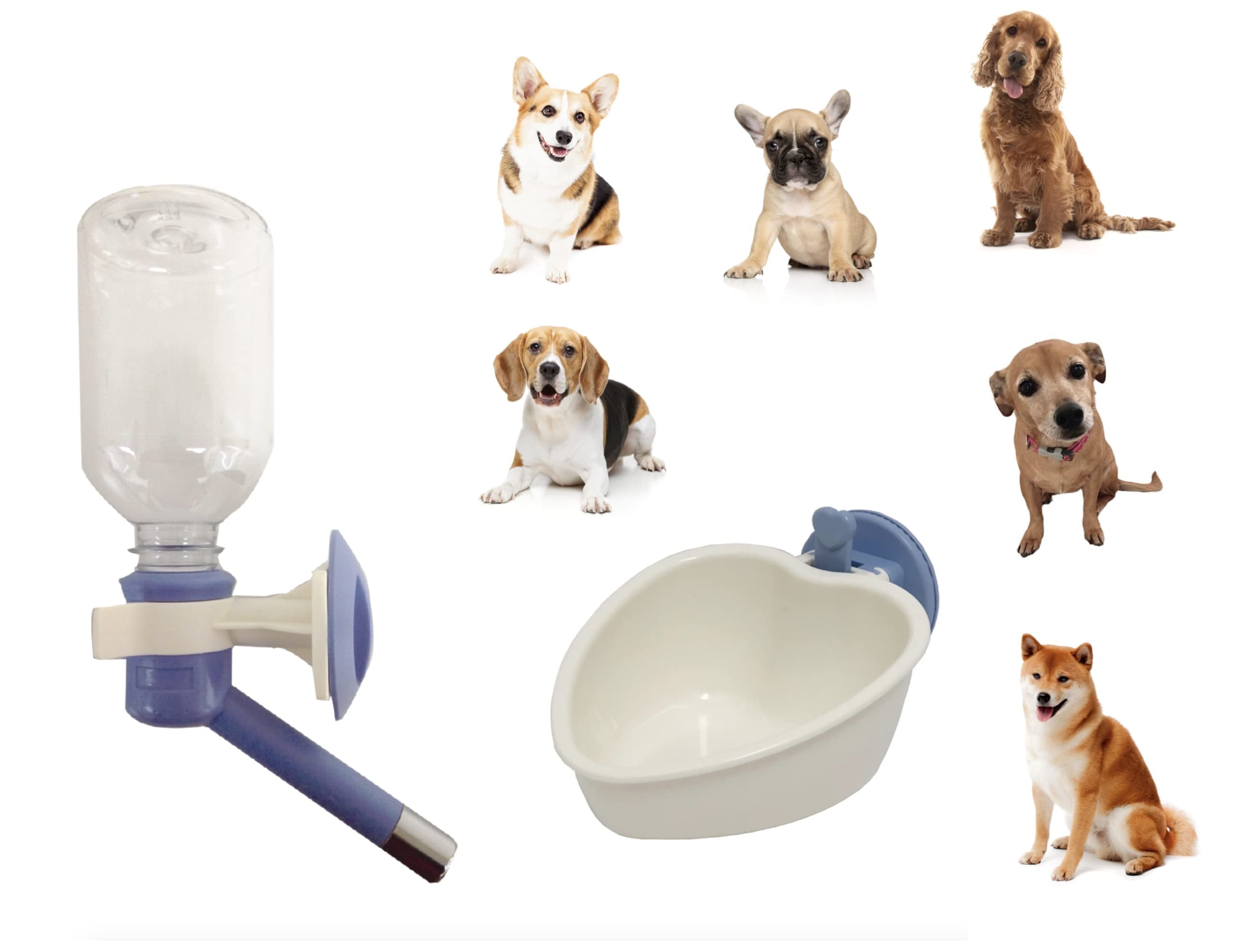 Blue No-Drip Water Bottle and Heart Food Bowl Set for Small Pets
