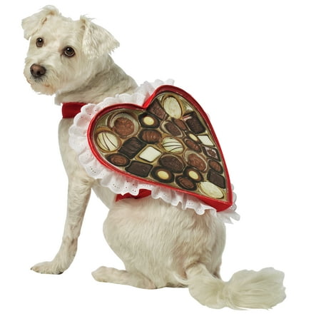 Chocolate Box Dog Costume Xs