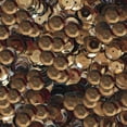 thumbnail image 1 of Chocolate Brown Cup Sequins 8mm Shiny Metallic Made in USA, 1 of 1