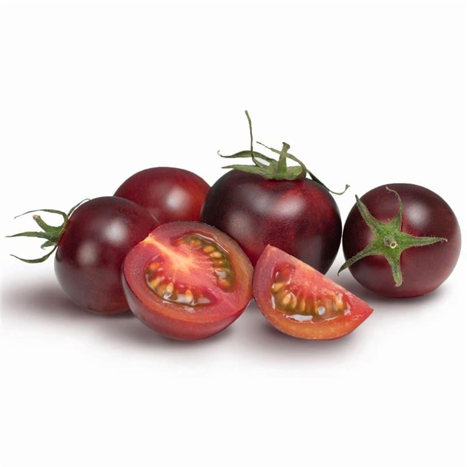Chocolate Cherry Tomato Seed 0.25 Oz – Non-GMO, Heirloom – Solanum lycopersicum – Indeterminate Vine – Sweet Red-Brown Cherry Tomatoes – 70 Days – For Gardens, Greenhouses & Containers
