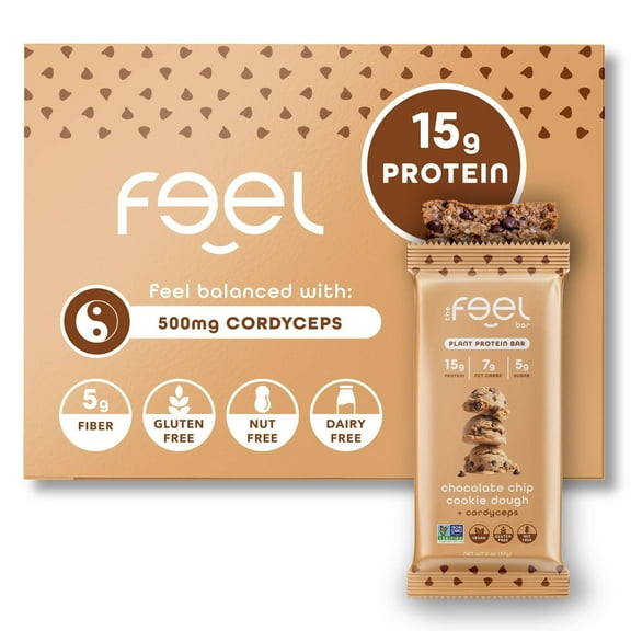 Chocolate Chip Cookie Dough