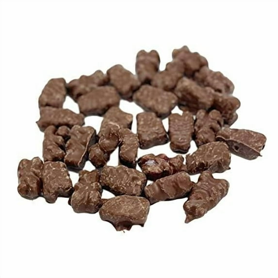 Chocolate Covered Gummi Bears - 3 lb Resealable Stand-up Candy Bag