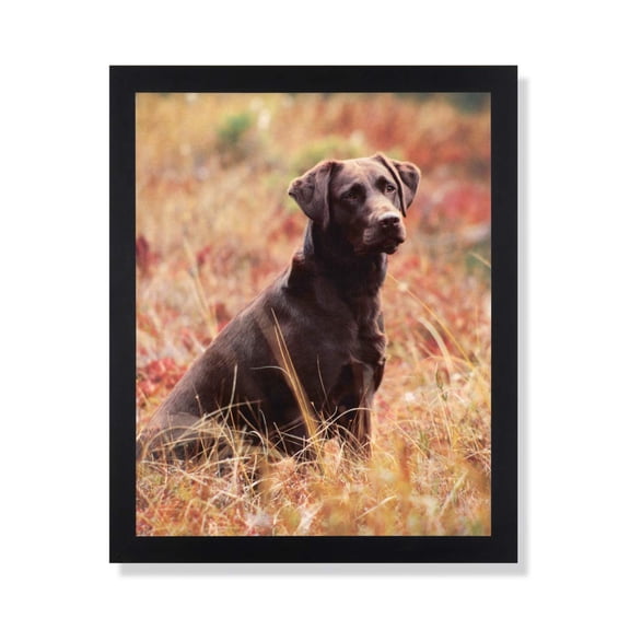 Chocolate Lab Puppy Dog Kids Room Animal Picture Black Framed Art Print