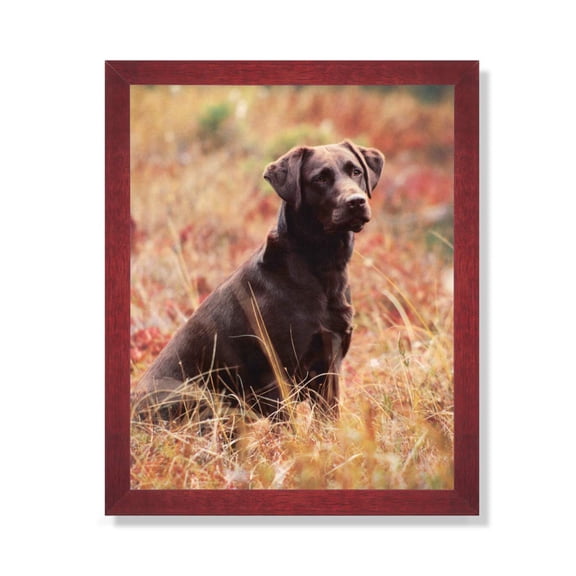 Chocolate Lab Puppy Dog Kids Room Animal Picture Framed Art Print
