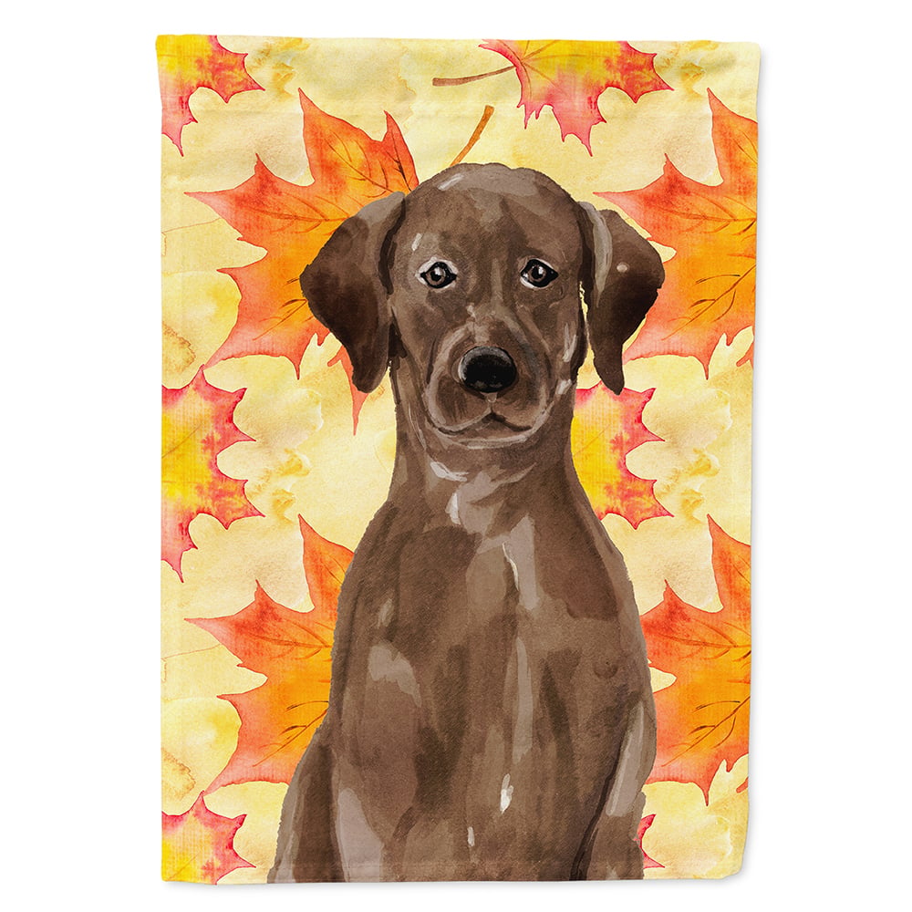 thumbnail image 1 of Chocolate Labrador Fall House Flag, 1 of 4