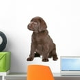 thumbnail image 1 of Chocolate Labrador Puppy Wall Decal by Wallmonkeys Peel and Stick Graphic (18 in H x 13 in W) WM280089, 1 of 4