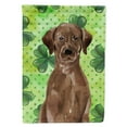 thumbnail image 1 of Chocolate Labrador St. Patricks Garden Flag, 1 of 5