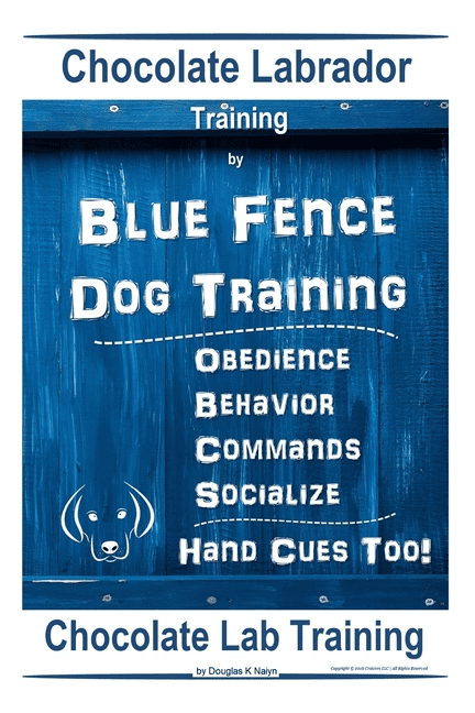 Chocolate Labrador Training By Blue Fence Dog Training, Obedience ...