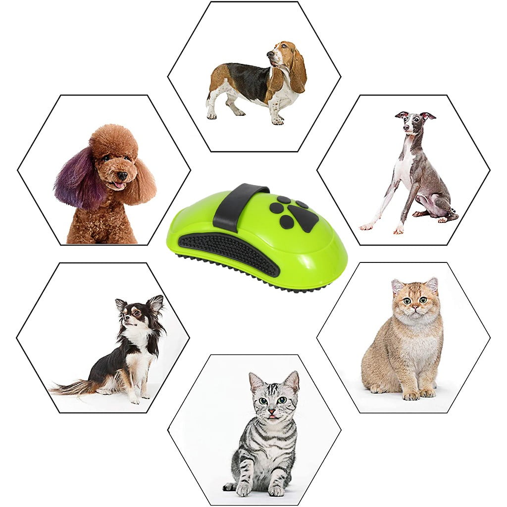 Chocolate Milk Boxers Teeth ning compatible with Machine Adapter Bunny Brush Soft Shampoo for