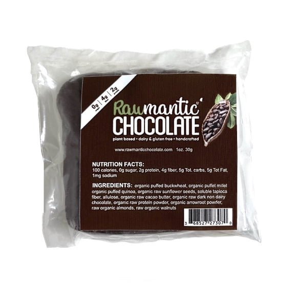 Chocolate Mini Vegan Protein Bar. 1oz