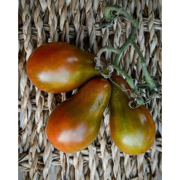 Chocolate Pear Heirloom Tomato Premium Seeds Packet
