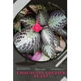 thumbnail image 1 of Chocolate Soldier Plant: Plant Guide, (Paperback), 1 of 1