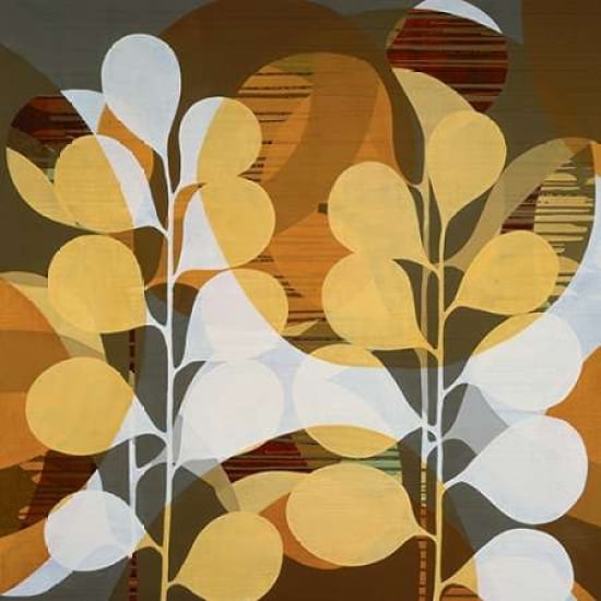 Chocolate Sun Canvas Art - Sarah Leslie (24 x 24)