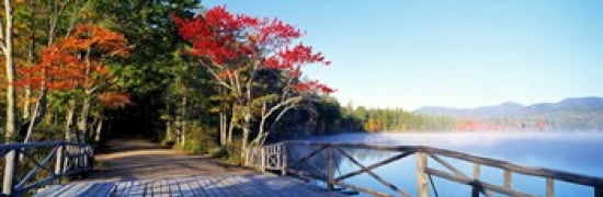 Chocorua Lake White Mountains National Forest NH Canvas Art - Panoramic Images (36 x 12)