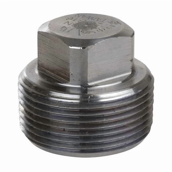 Manufacturer Varies 2" MNPT 304 SS Square Head Plug 1RRL8