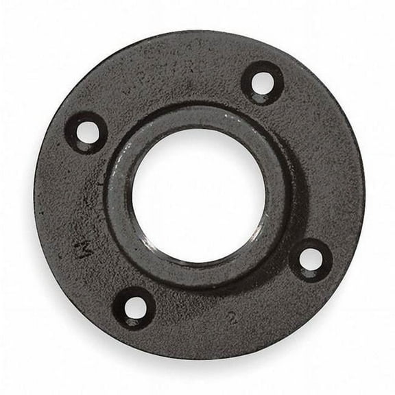 Flange Floor Flange, 1/4" Pipe, Flanged x FNPT, Malleable Iron, Class 150