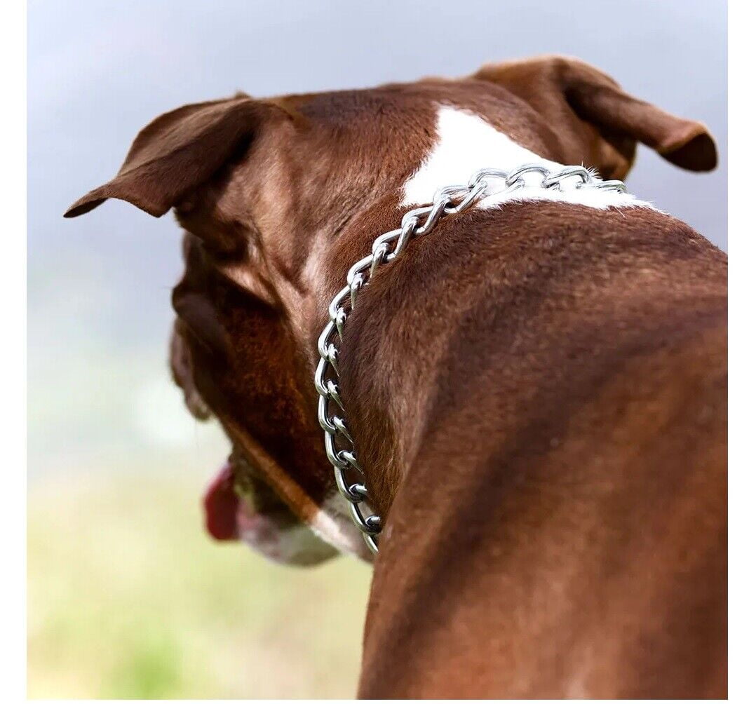 Choke Chain Collars for Dog Training Great Quality Welded Steel Many ...