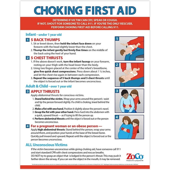 ZoCo: Heimlich Maneuver / Choking First Aid Poster - Laminated, 17 x 22 in.