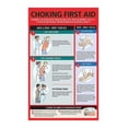 thumbnail image 1 of Choking First Aid Poster for Adults Infants Pregnant Women Emergency Procedure Wall Art for Home Kitchen Clinic Educational Canvas Print Decor, 1 of 1