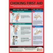 Choking First Aid Poster for Kids and Adults, Infants, Pregnants, 12 x 18", Laminated