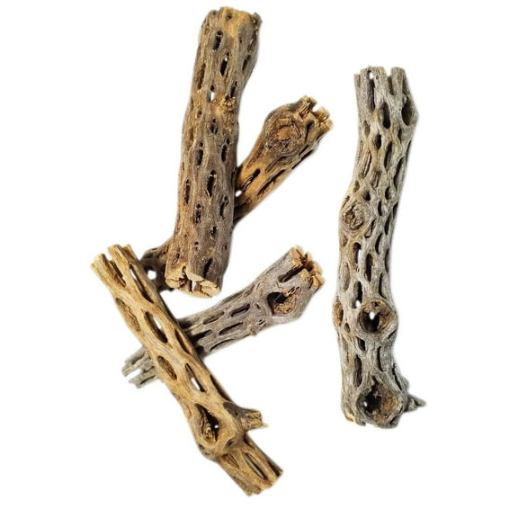 Cholla Wood - 10 pieces 6" Wood for Freshwater Shrimp, ALL Aquariums & Terrariums. Extra Tourmaline Mineral Supplement Balls Included