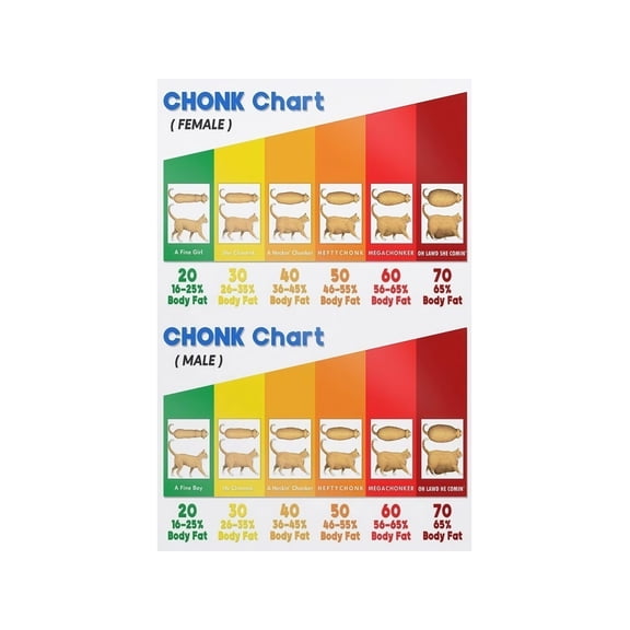 Chonk Chart Poster Cat Body Condition Guide Funny Wall Art for Cat Lovers Educational Home Decor Veterinary Reference