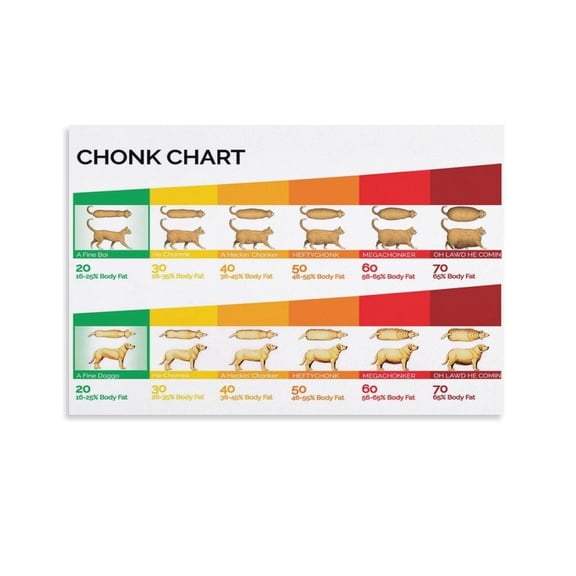 Chonk Chart Poster Fine Boi,Good Doggo,Cat Weight Guide Chart Canvas Painting Wall Art