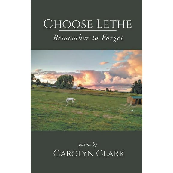 Choose Lethe : Remember to Forget (Paperback)