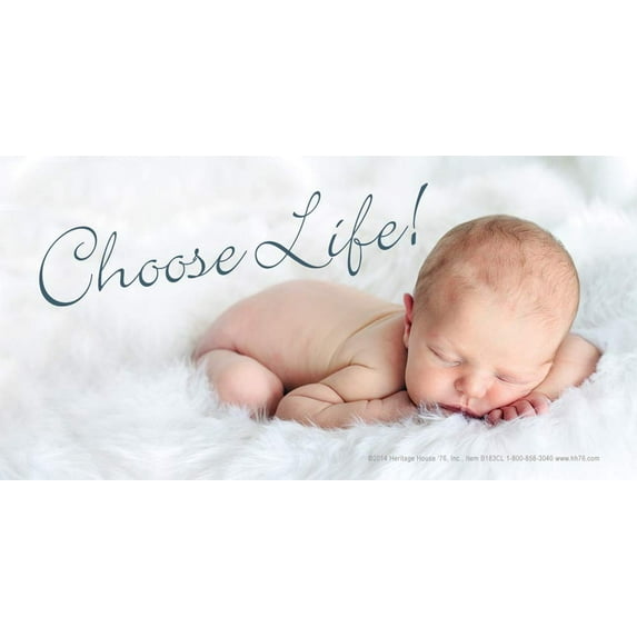 Choose Life Pro-Life Vinyl Sign