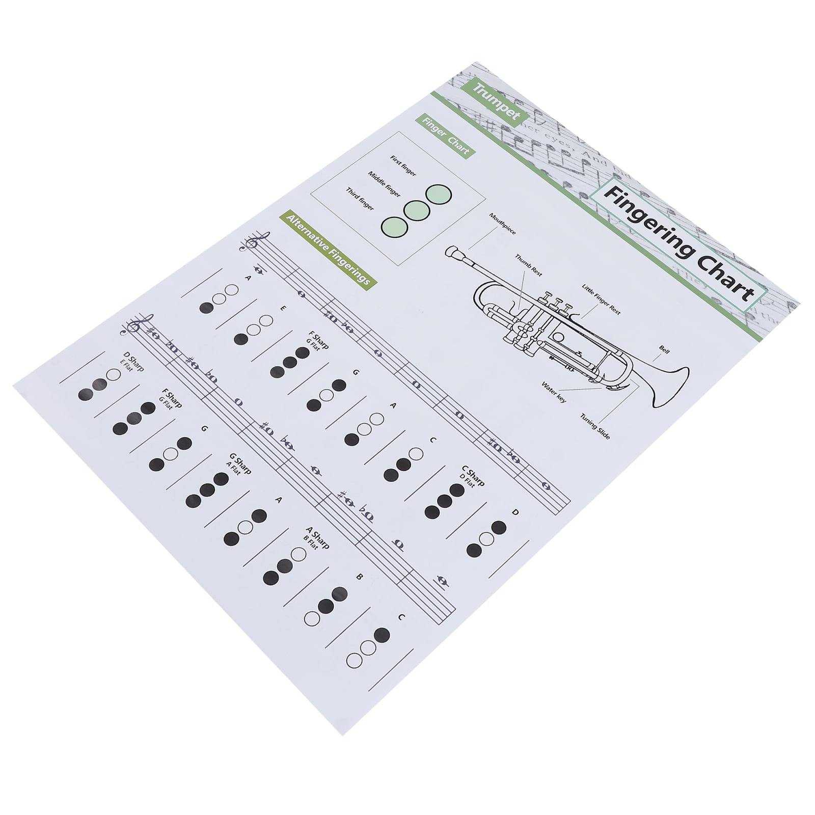 Trumpets Note Reference, Art Paper Clear Wear Durable Portable Trumpet Chart For Home