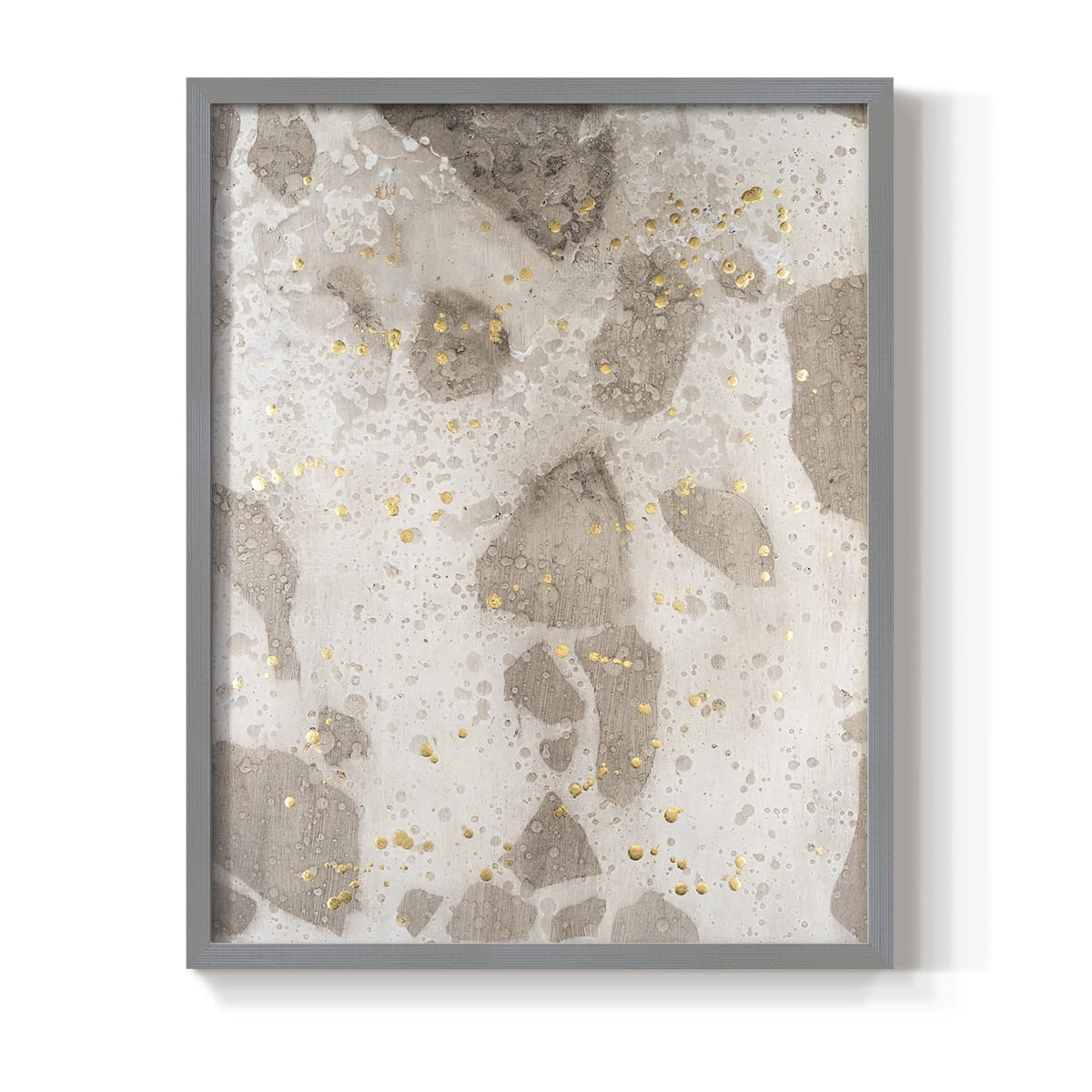Chordata I Framed Print in Gray Solid Wood Framed Print No Nail Hanging