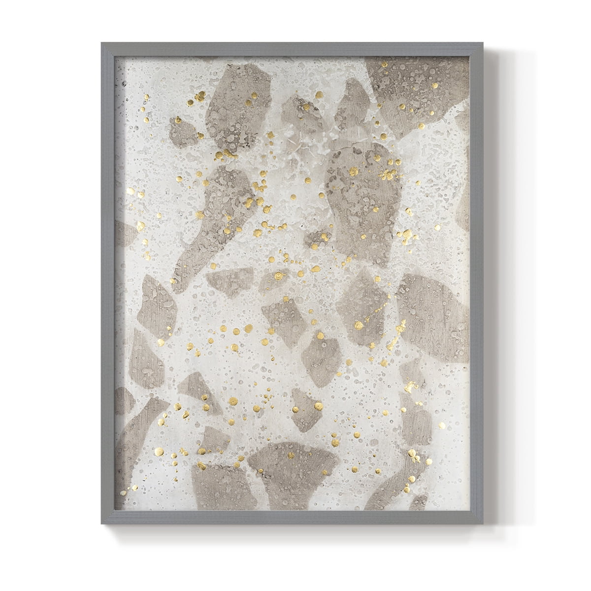 Chordata II Framed Print in Gray Solid Wood Framed Print No Nail Hanging