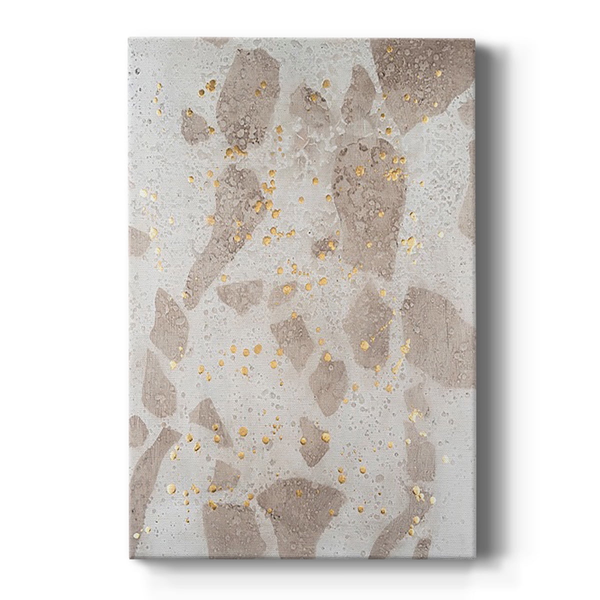 Chordata II Premium Gallery Wrapped Canvas - Ready to Hang