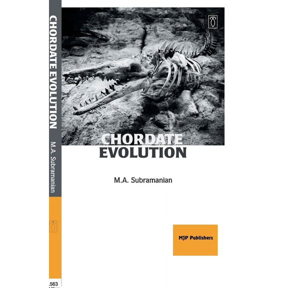 Chordate Evolution, (Hardcover)