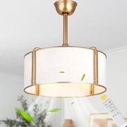 Chords Attic 20" Gold Boho Caged Ceiling Fan with Light and Remote Control, Fabric Fandelier Ceiling Fan with 6 Speeds for Bedroom, dining room