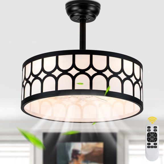 Chords Attic 20" Modern Bladeless Ceiling Fan with Light and Remote Control, Reversible Black Caged Fan for Living Room, Bedroom