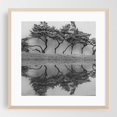 thumbnail image 1 of Choreography of the Nature - Durham North Carolina Photography Black and White Nature Minimalist Abstract Landscape Oak Framed Wall Art Print 10 x 10 inches, 1 of 8