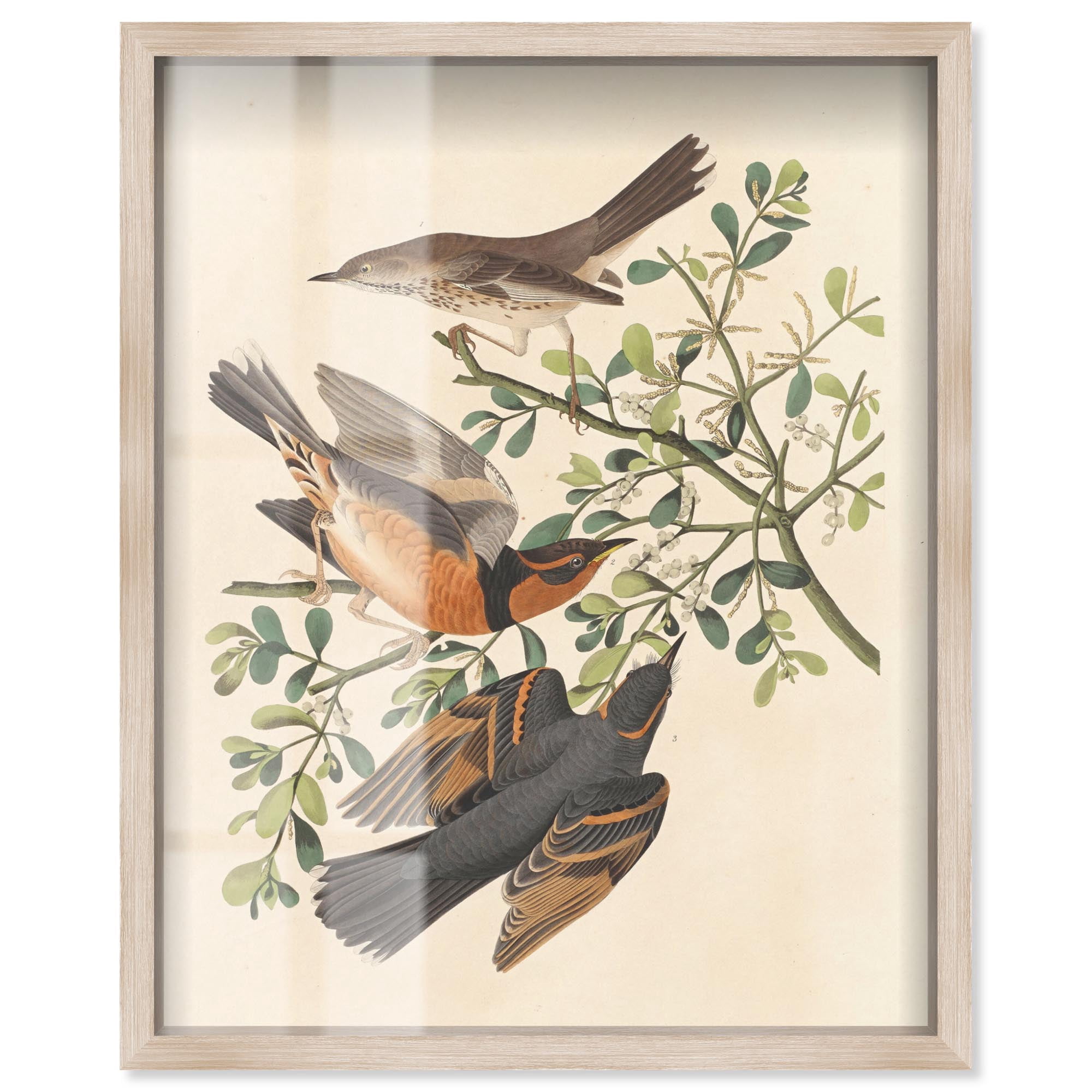 Chorus of Three Shadowbox Print Vintage Art by Art Remedy, Blonde Frame ...