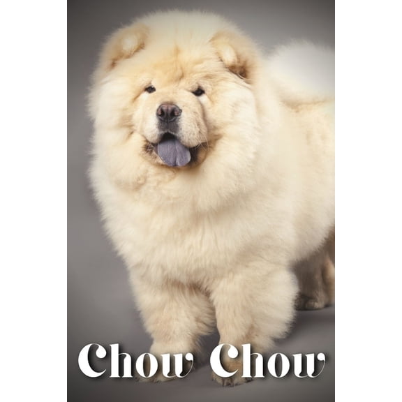 Chow Chow : Dog breed overview and guide (Paperback)