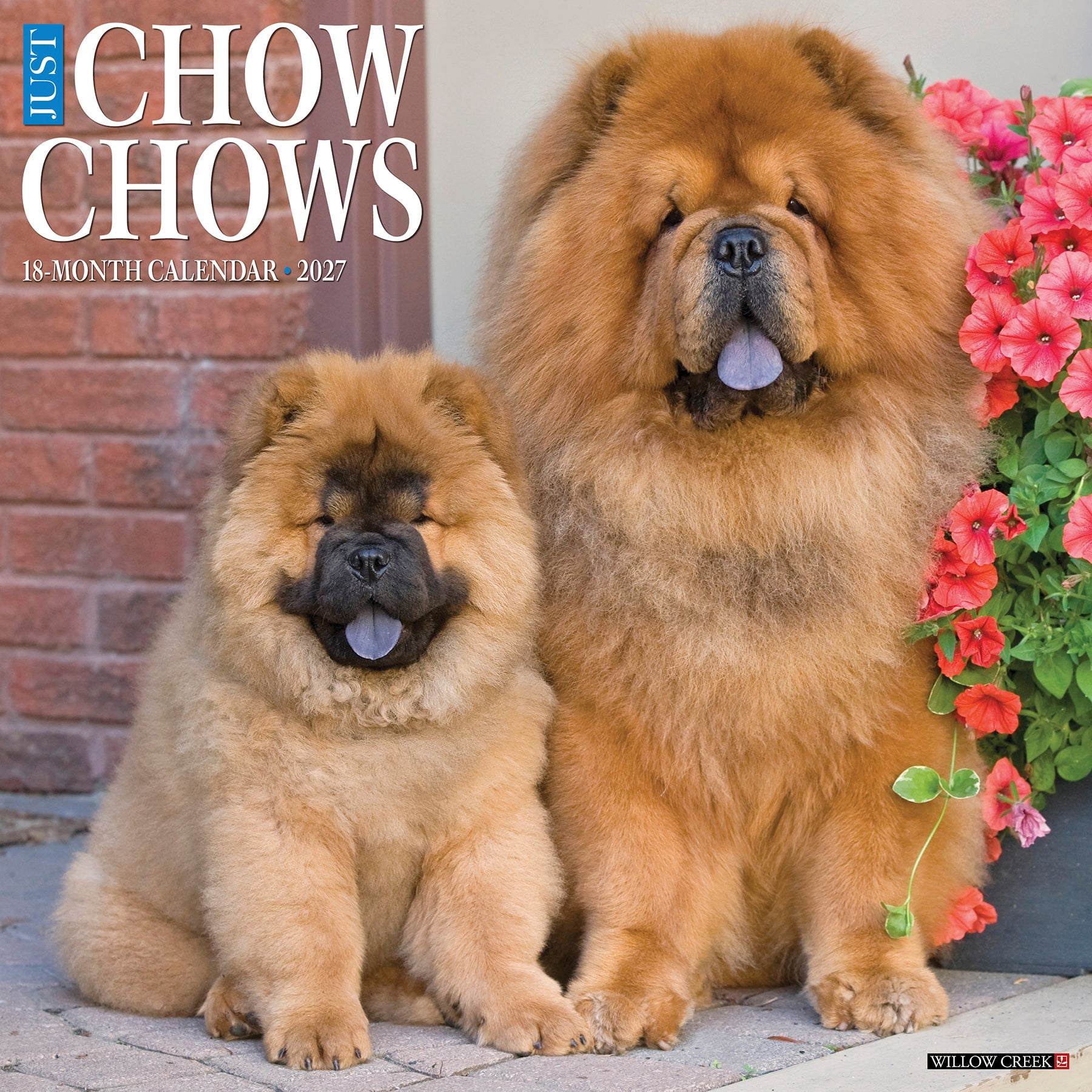 Willow Creek Press, Chow Chows 2027 Wall Calendar