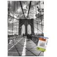 thumbnail image 1 of Chris Bliss - Brooklyn Bridge Wall Poster with Push Pins, 14.725" x 22.375", 1 of 3