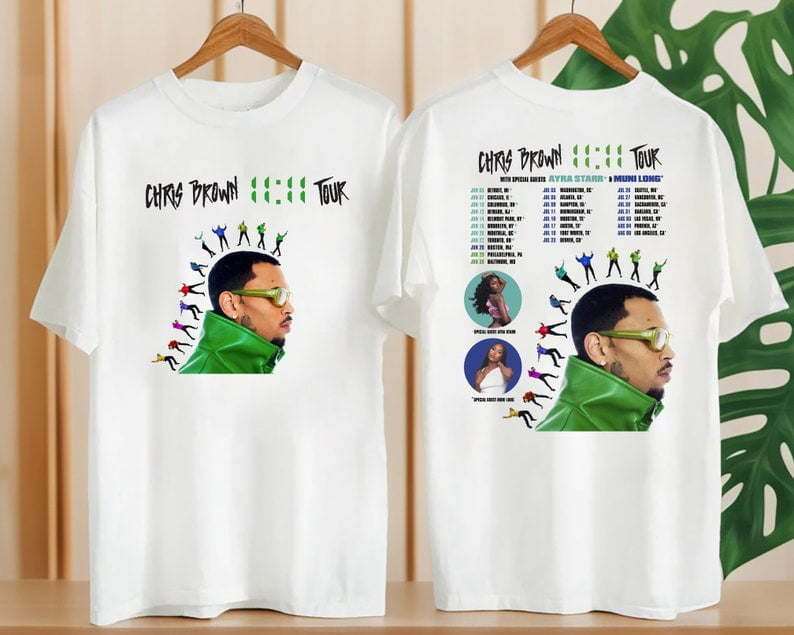 Chris Brown Tour Concert Image