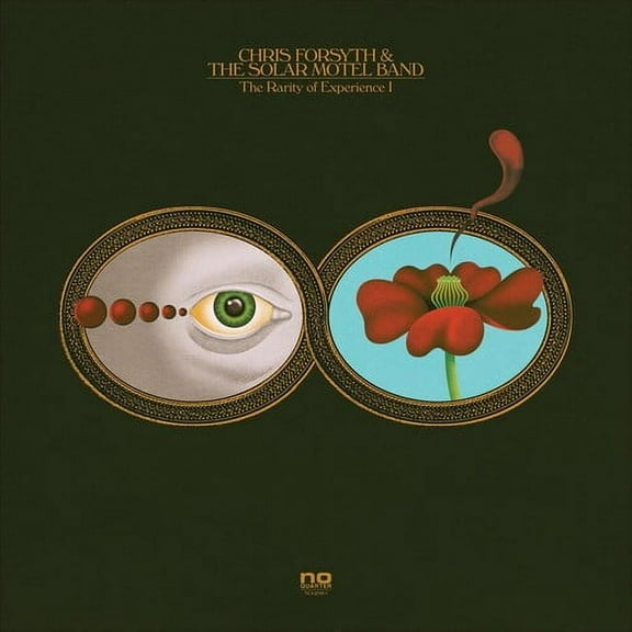 Chris Forsyth & the Solar Motel Band - The Rarity Of Experience - Music & Performance - Vinyl